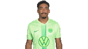 Wo Look Around Sticker by VfL Wolfsburg
