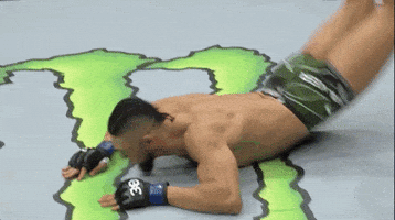Johnny Walker Sport GIF by UFC