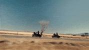 Ride GIF by Harley-Davidson