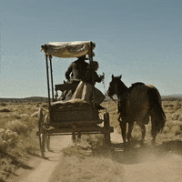 GIF by News of the World