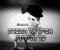 Hebrew Lad GIF