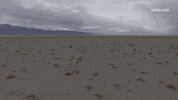viceland GIF by ABANDONED
