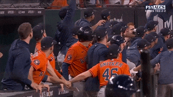 Major League Baseball Sport GIF by MLB