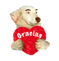 Adoptanocompres Camperito Sticker by El Campito Refugio