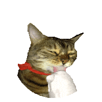 icecream STICKER by imoji