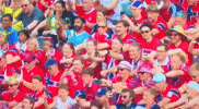 Vikings Norway GIF