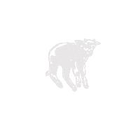 Halloween October Sticker