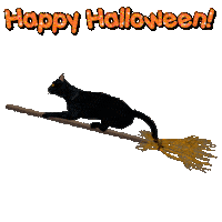 Black Cat Halloween Sticker