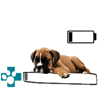 Boxerdog Sticker by Europeanpetpharmacy