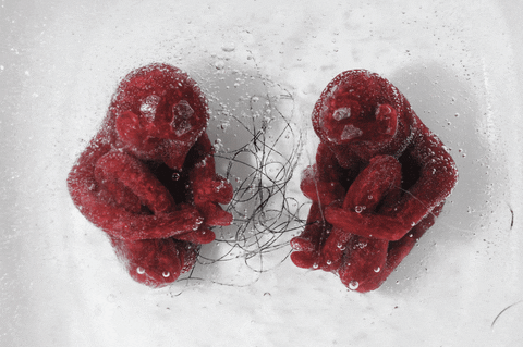 luciaparias giphyupload water twins sculpture GIF