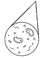 medikurin pet virus bacteria germs Sticker
