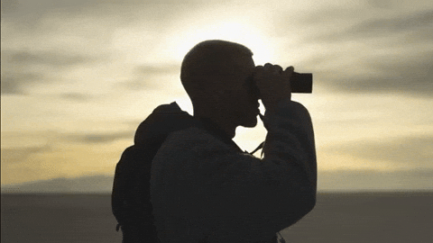 Call You Back GIF by Kode