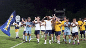 Mens Soccer Win GIF by Georgia Southwestern State University