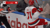 Happy Carolina Hurricanes GIF by NHL