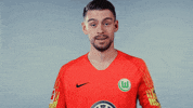Football Soccer GIF by VfL Wolfsburg