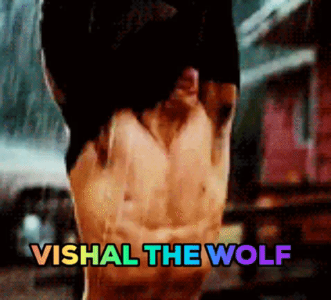 indiawebspot vishalwolf GIF by Webspot India
