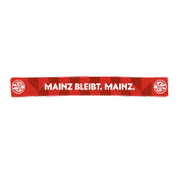 mewa_textilservice soccer fan fußball arena Sticker