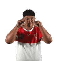 Pro D2 Rugby Sticker by Biarritz Olympique Pays Basque