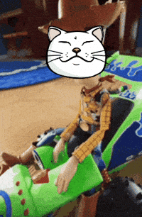 Kitty Hype GIF by ShiroNeko