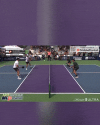 Mlp GIF by D.C. Pickleball Team