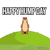 Jumping Wednesday Morning Sticker by WorkBeaver