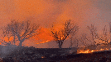 Texas Crews Battle Grass Fires