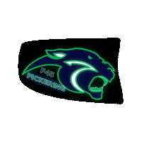 F45 Panthers Sticker by PickeringF45