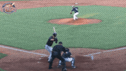 EvansvilleOtters baseball swag looking unbelievable GIF