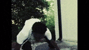 Moskino GIF by SLANG