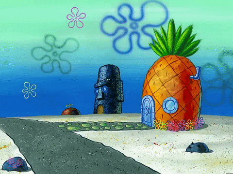 season 3 GIF by SpongeBob SquarePants
