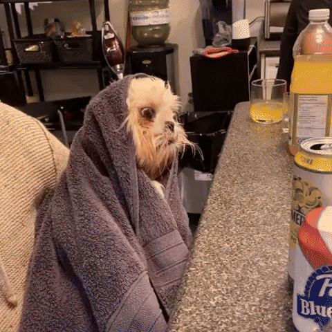 "these edibles aren't shit"