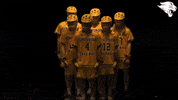 d3lax GIF by CUCougars
