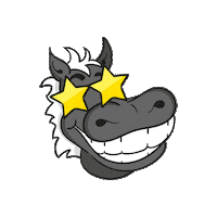 Happy Star Sticker by Borussia Mönchengladbach