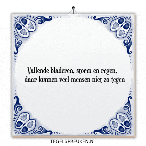 Storm Nl GIF by Tegelspreuken.nl