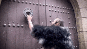 Multiplayertv door fighter warrior viking GIF