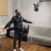 Güvercin GIF