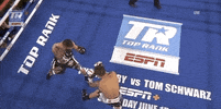 toprank fight boxing fighting fighters GIF