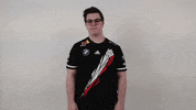 Just Stop Rocket League GIF by G2 Esports
