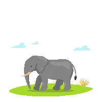 Wild Life Elephant Sticker by Zoofari Centro de Conservación