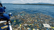 Earth Day GIF by 4ocean