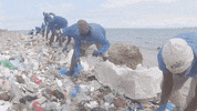 Earth Day GIF by 4ocean