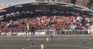 Green Army Csc GIF