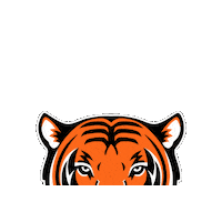 Princeton Athletics Sticker by Princeton University