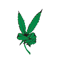 Peace Sticker by imoji