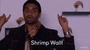 Parks And Recreation Entertainment 720 GIF by PeacockTV