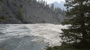 phoenix_bau nature water vibes calm GIF