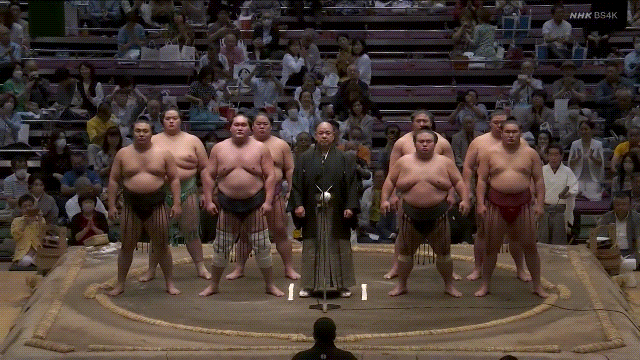 TZ85 giphyupload sumo 2023 natsu basho GIF