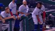 Regular Season Sport GIF by MLB