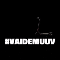 Vaidemuuv GIF by Letícia Pereira