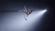 Circus Split GIF by Ringling Bros. and Barnum & Bailey